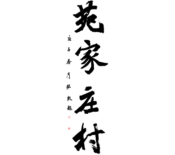 百村百家行丨苑家庄村：帮扶情浓 乡村美丽